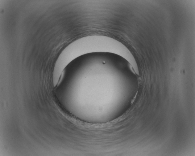 X0000071800043200607211658