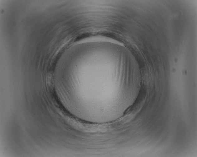 X0000071800044200607211658