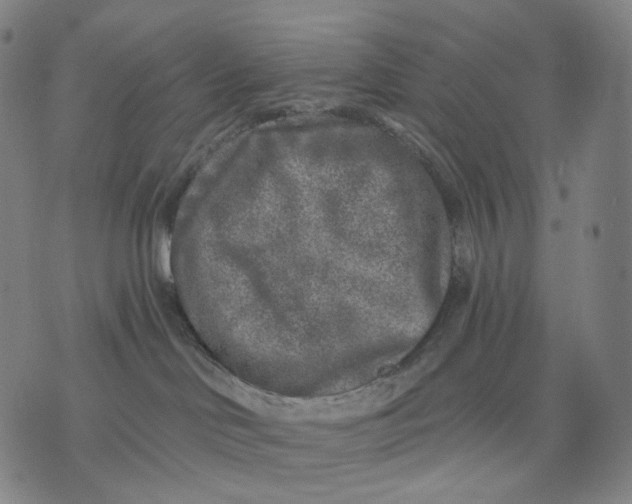 X0000071800046200607211658