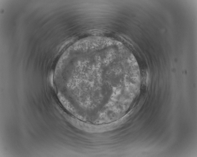 X0000071800047200607211658