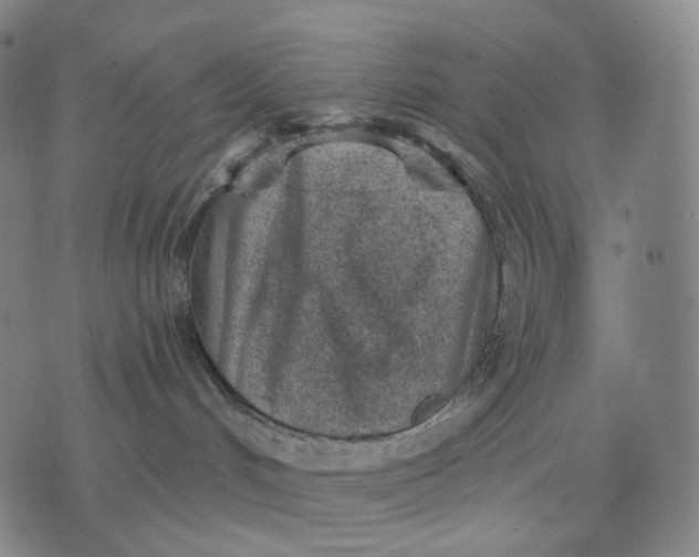 X0000071800048200607211658