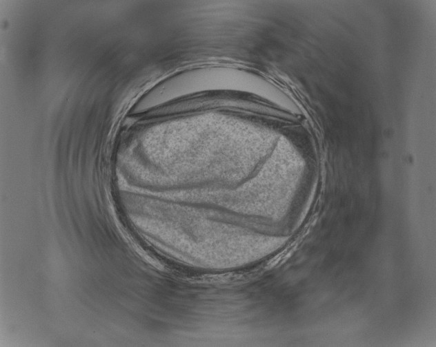 X0000071800049200607211657