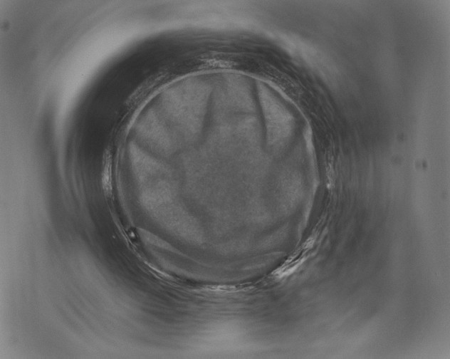 X0000071800052200607211657