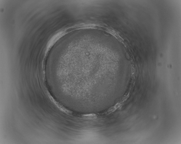 X0000071800053200607211657