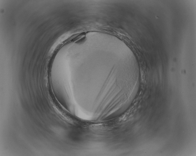 X0000071800054200607211657