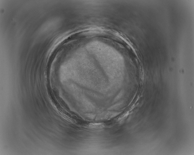 X0000071800055200607211657