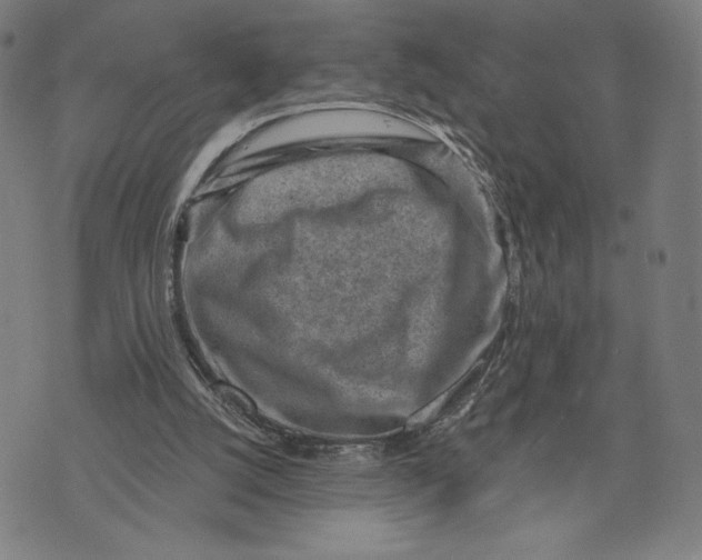 X0000071800056200607211657