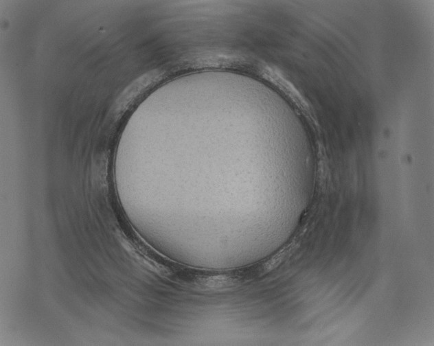 X0000071800058200607211657