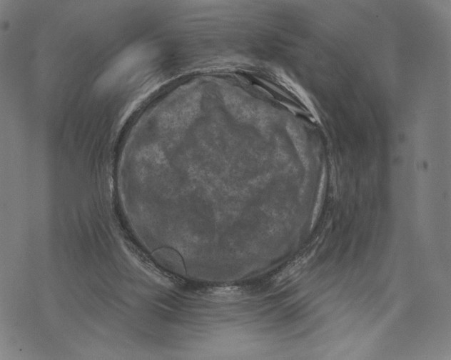 X0000071800059200607211657