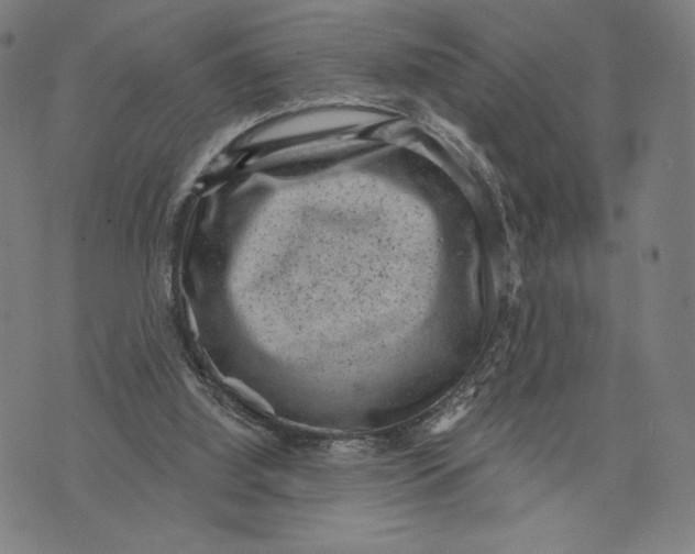 X0000071800060200607211657