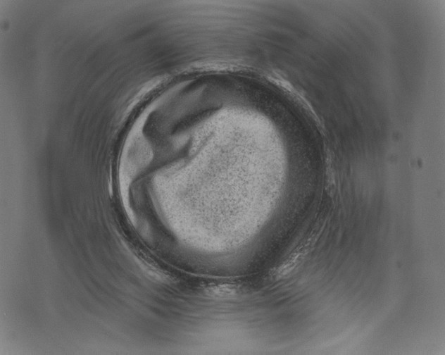 X0000071800062200607211657