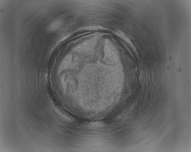 X0000071800063200607211657