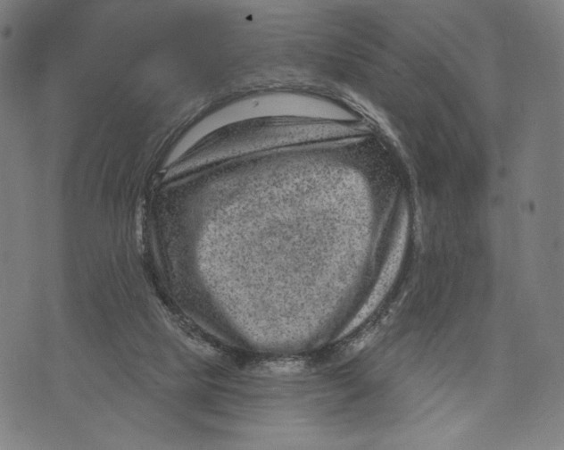 X0000071800065200607211657