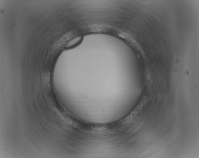 X0000071800066200607211657