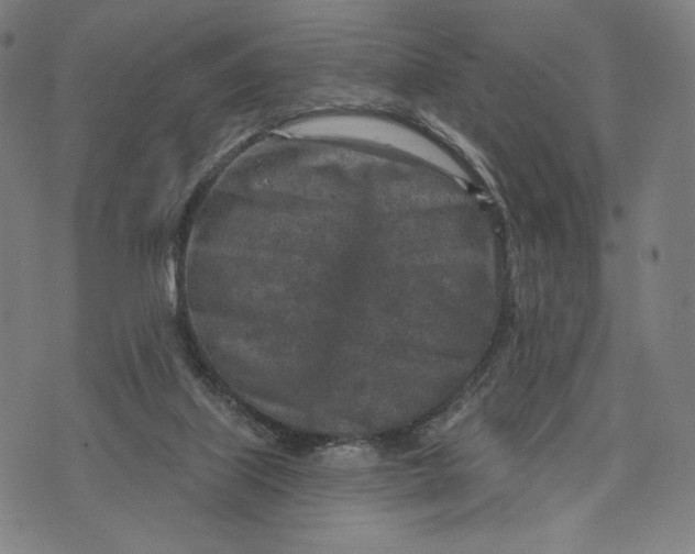 X0000071800067200607211657