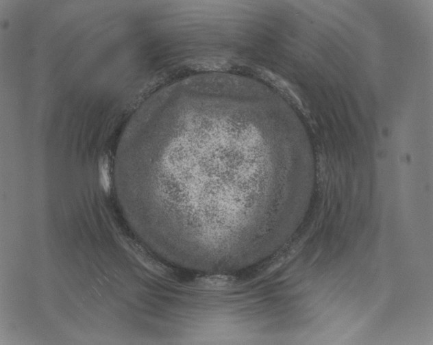 X0000071800069200607211657