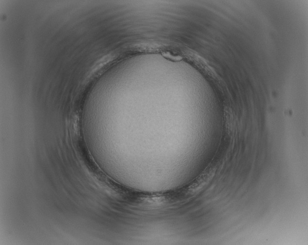 X0000071800071200607211657