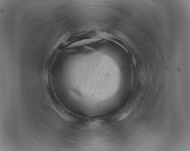 X0000071800072200607211657