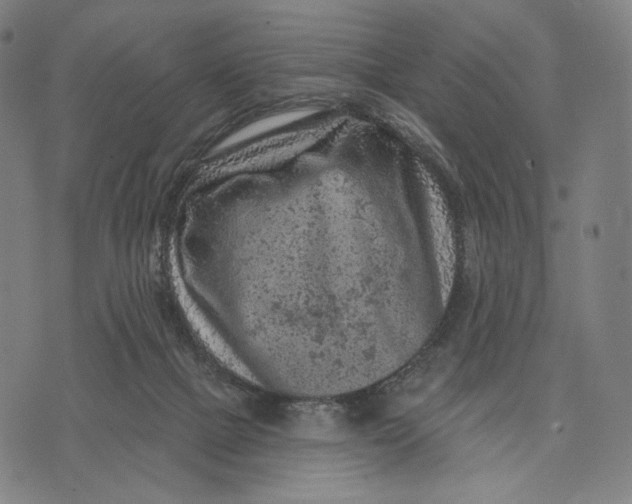 X0000071800073200607211657