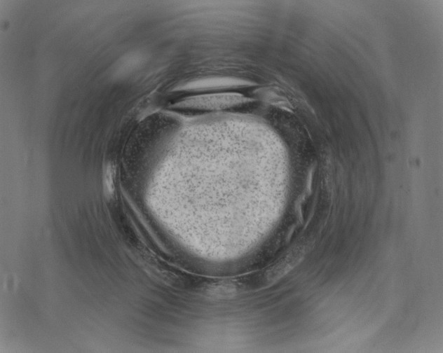 X0000071800075200607211657