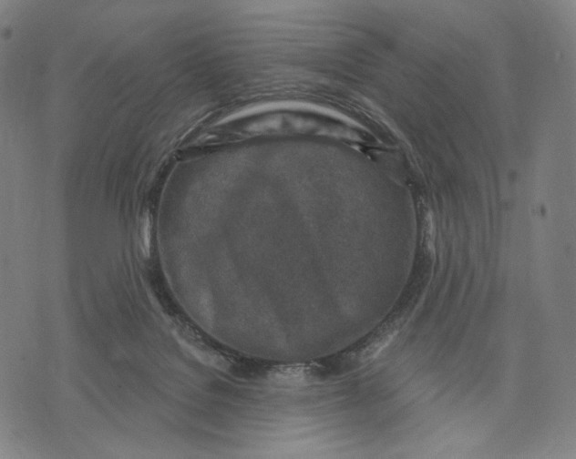 X0000071800076200607211657