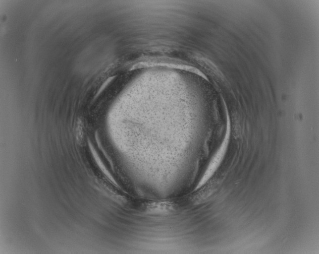 X0000071800077200607211657