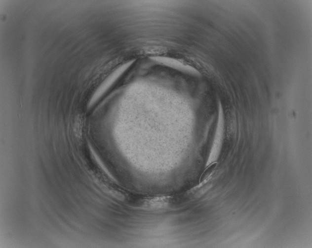 X0000071800078200607211657