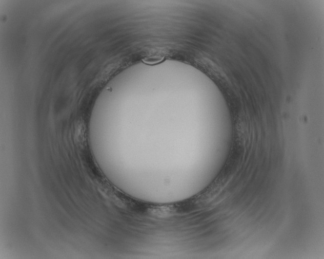 X0000071800079200607211657