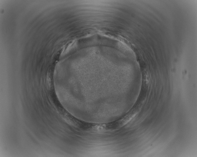 X0000071800080200607211657