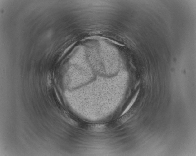 X0000071800081200607211657