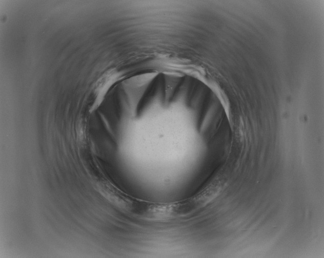 X0000071800084200607211657