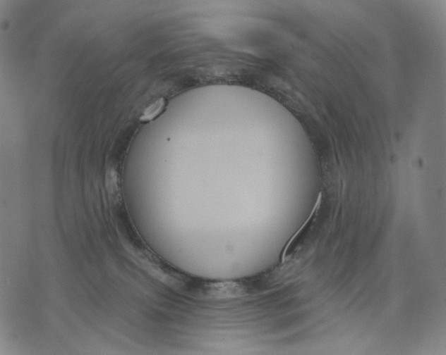 X0000071800087200607211657