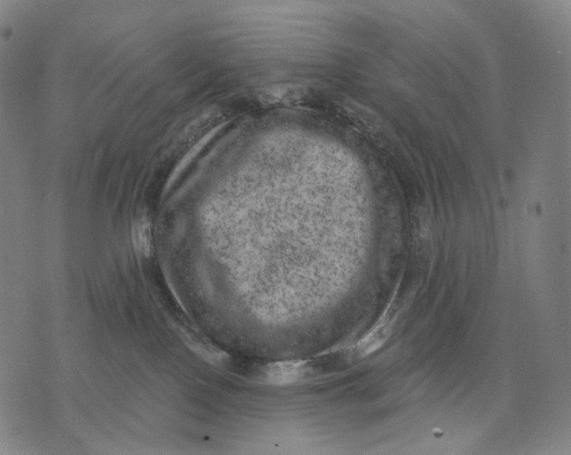 X0000071800090200607211657