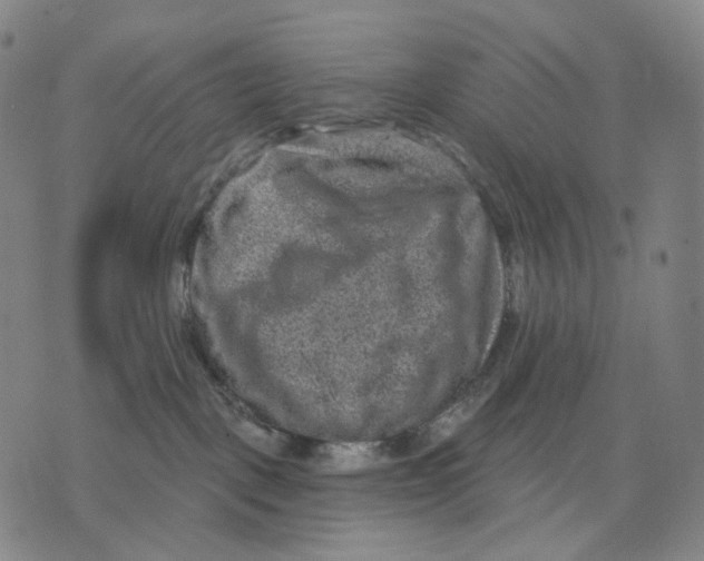 X0000071800093200607211658