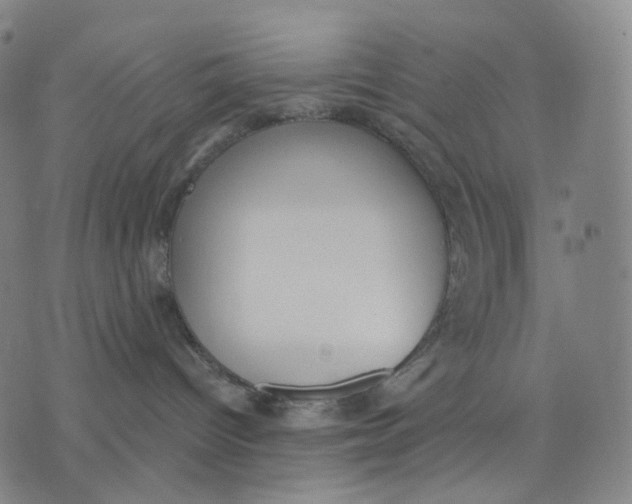 X0000071800096200607211658