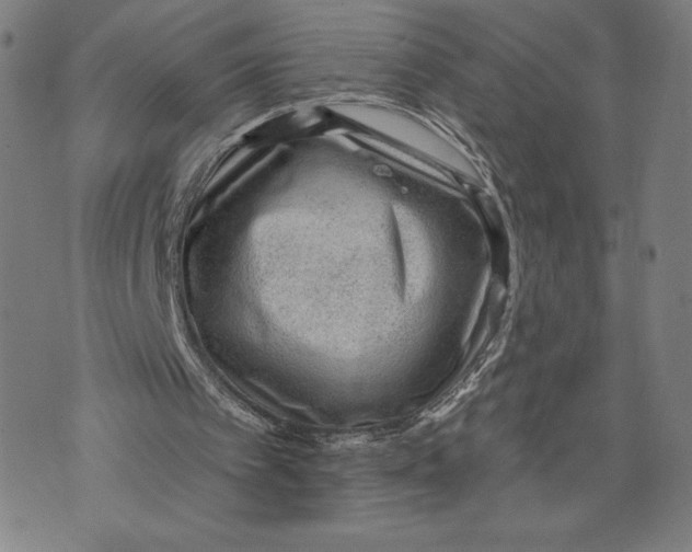 X0000071800097200607211657