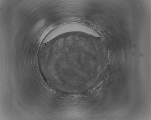 X0000071800099200607211657