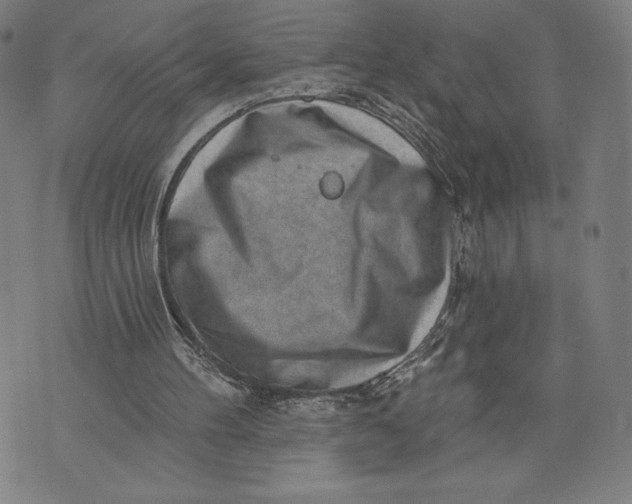 X0000071800100200607211657