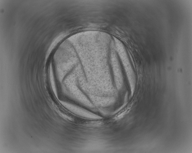 X0000071800102200607211657