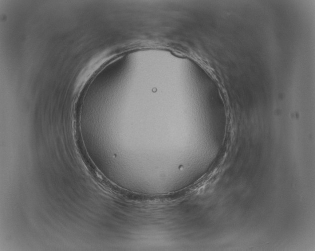 X0000071800103200607211657