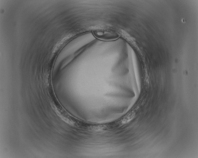 X0000071800106200607211657