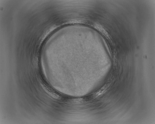 X0000071800108200607211657