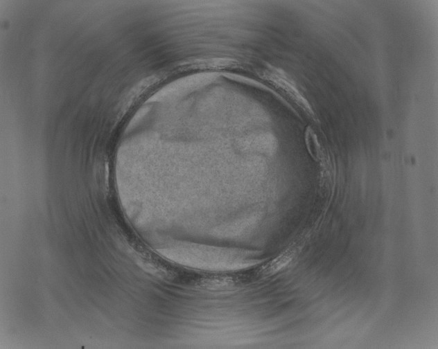 X0000071800110200607211657