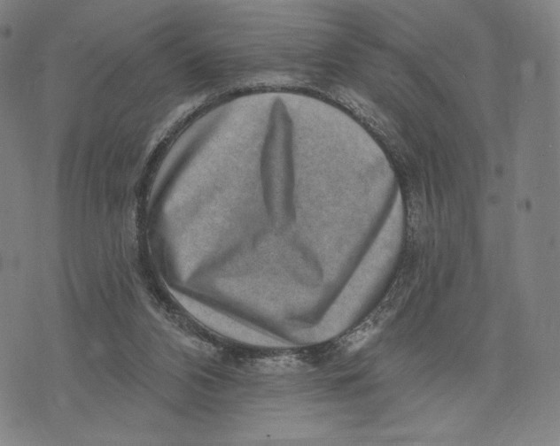 X0000071800112200607211657