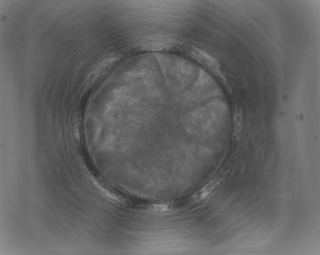 X0000071800114200607211657