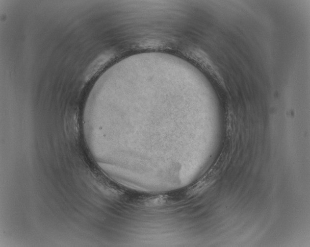 X0000071800116200607211656