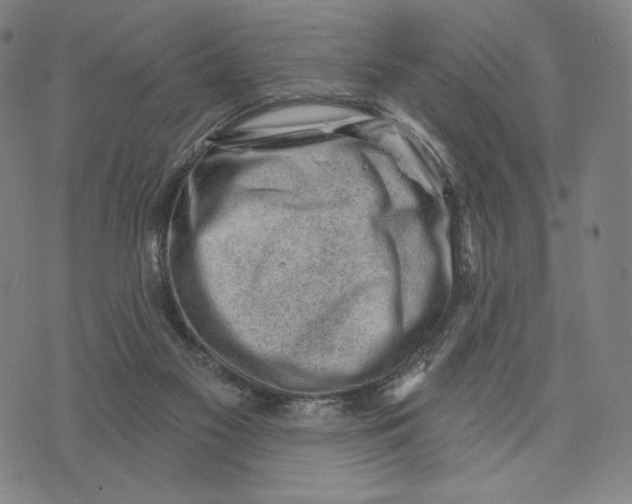 X0000071800117200607211656