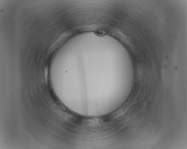 X0000071800118200607211656