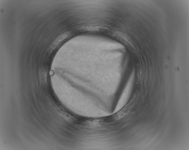 X0000071800120200607211656