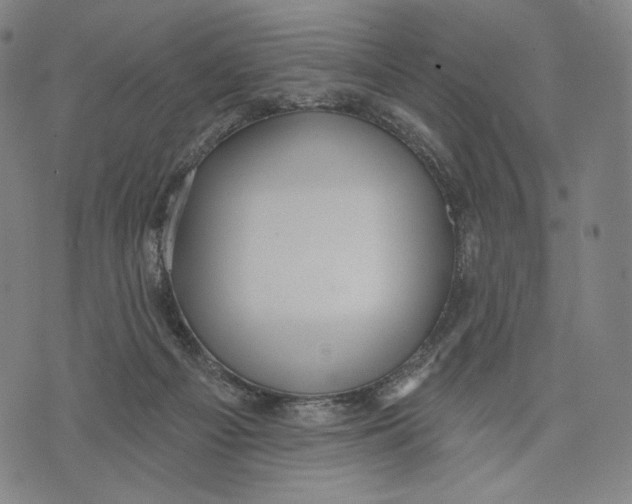 X0000071800121200607211656